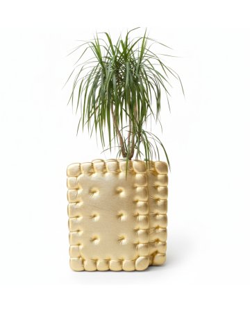 Poduszka w kształcie herbatnika, w kolorze złotym, tkanina skóra, poduszka podłogowa i dekoracyjna