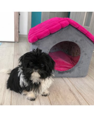 pluszowa buda dla psa lub kota. kolor fuksja + grafit