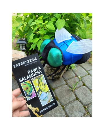 Maskotka MUCHA dla fotografa podczas wystawy makrofotografii