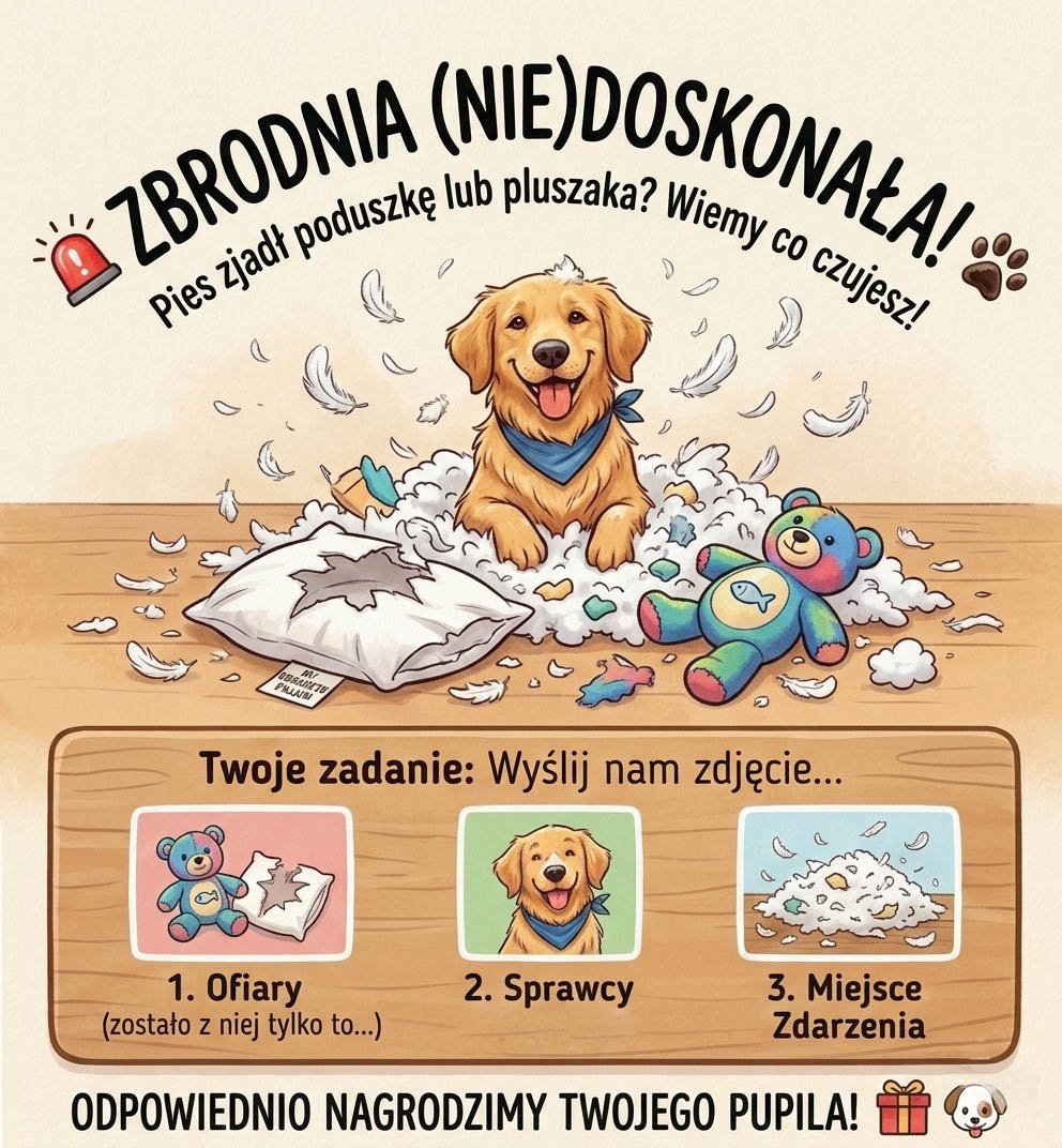 Co zrobić, gdy Twoją maskotkę zje pies?